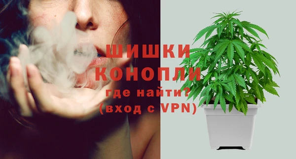 спайс Дмитров