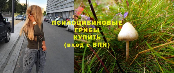спайс Дмитров