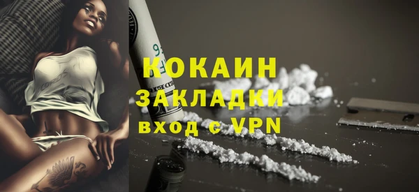 прущий лед Дмитриев