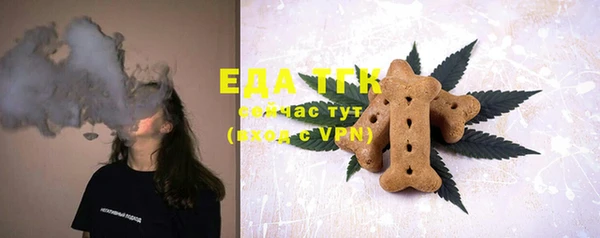 прущий лед Дмитриев