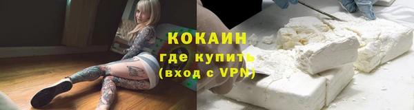 прущий лед Дмитриев