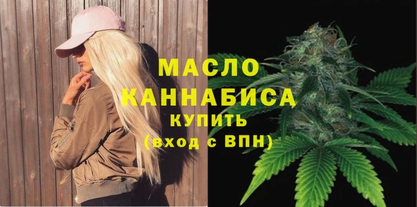прущий лед Дмитриев