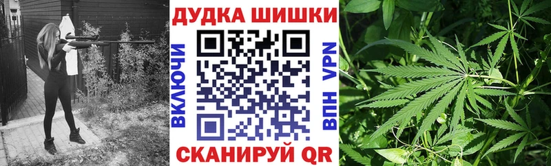 Купить где  Светлогорск  Каннабис индика 